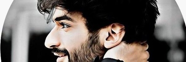 alhsn8302 Profile Banner