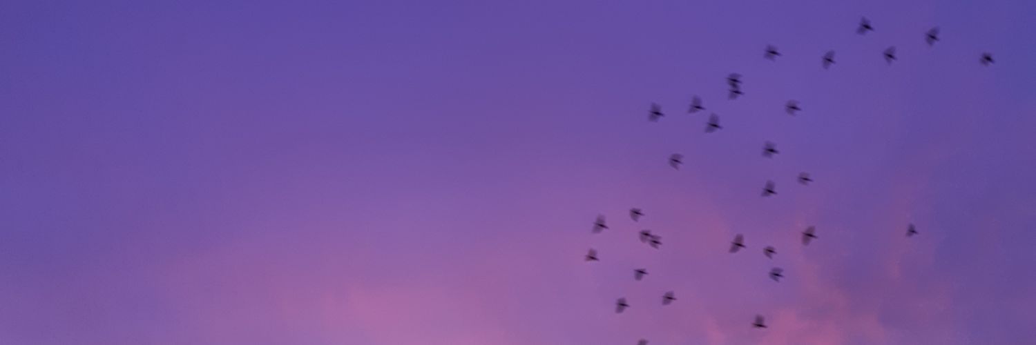 Ana_LPerez's profile banner image