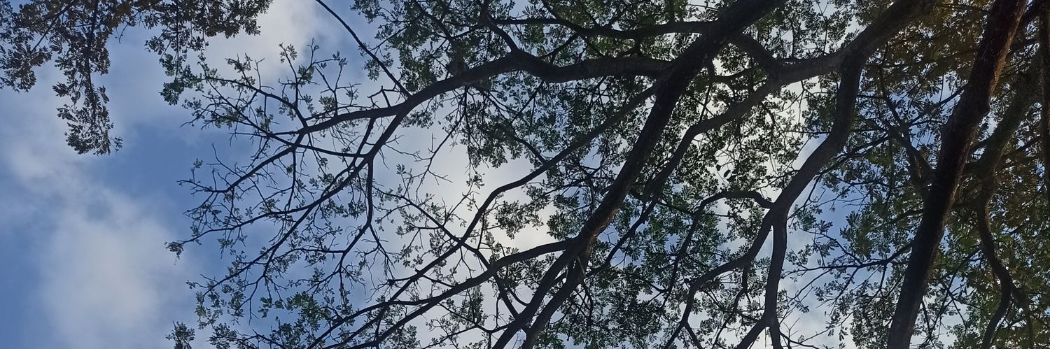 ☀️ banner