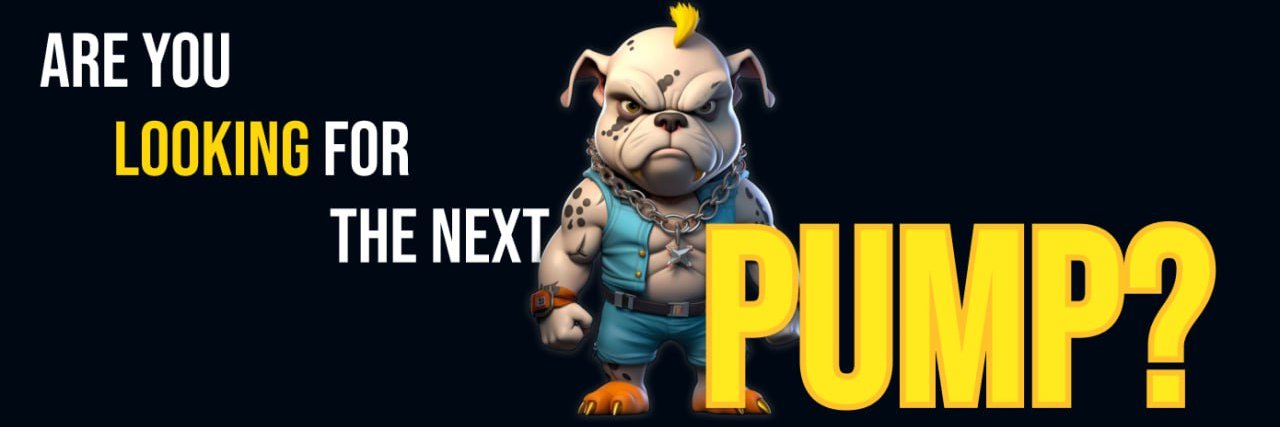 $BULLY 🦴🐶 BULLYPAD.SOL - THE SOLANA LAUNCHPAD banner