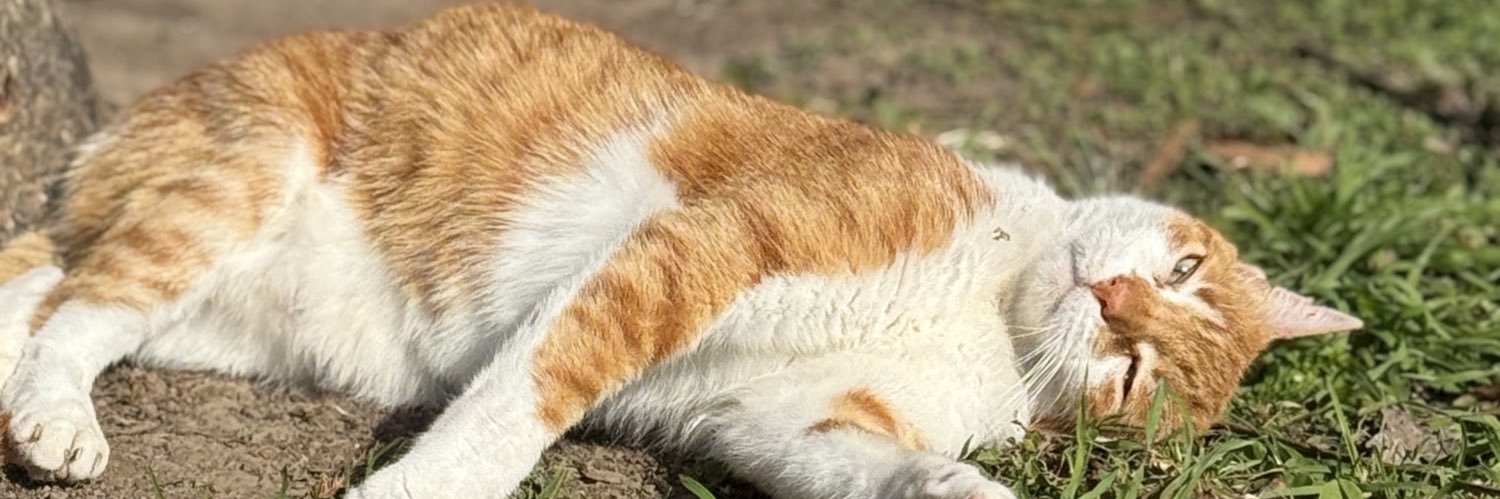 QuiqueAbba's profile banner image