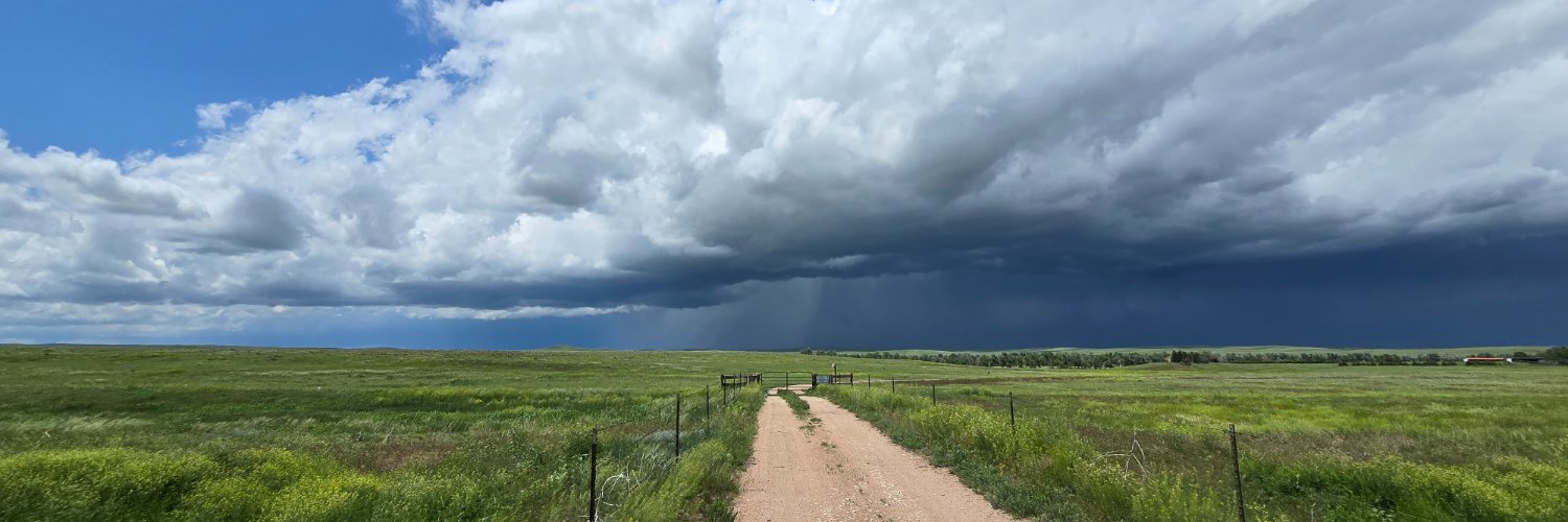 Thomas SechsEnder banner