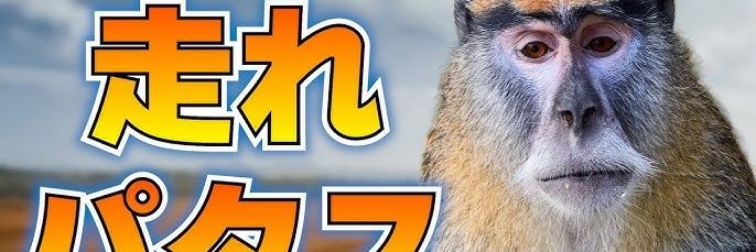 🥜 banner