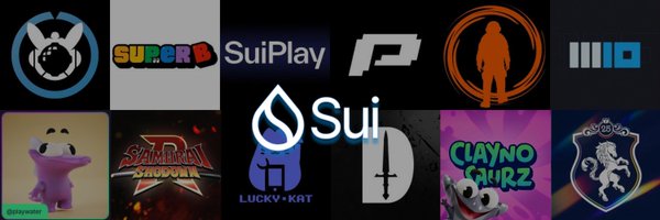 Player_Sui Profile Banner