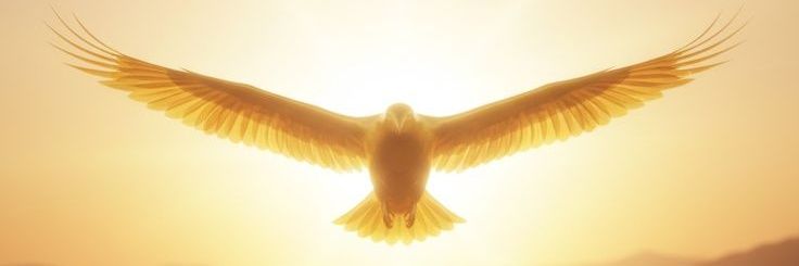 0Pietro0's profile banner image