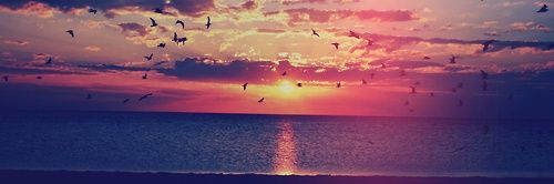 Marce__e's profile banner image