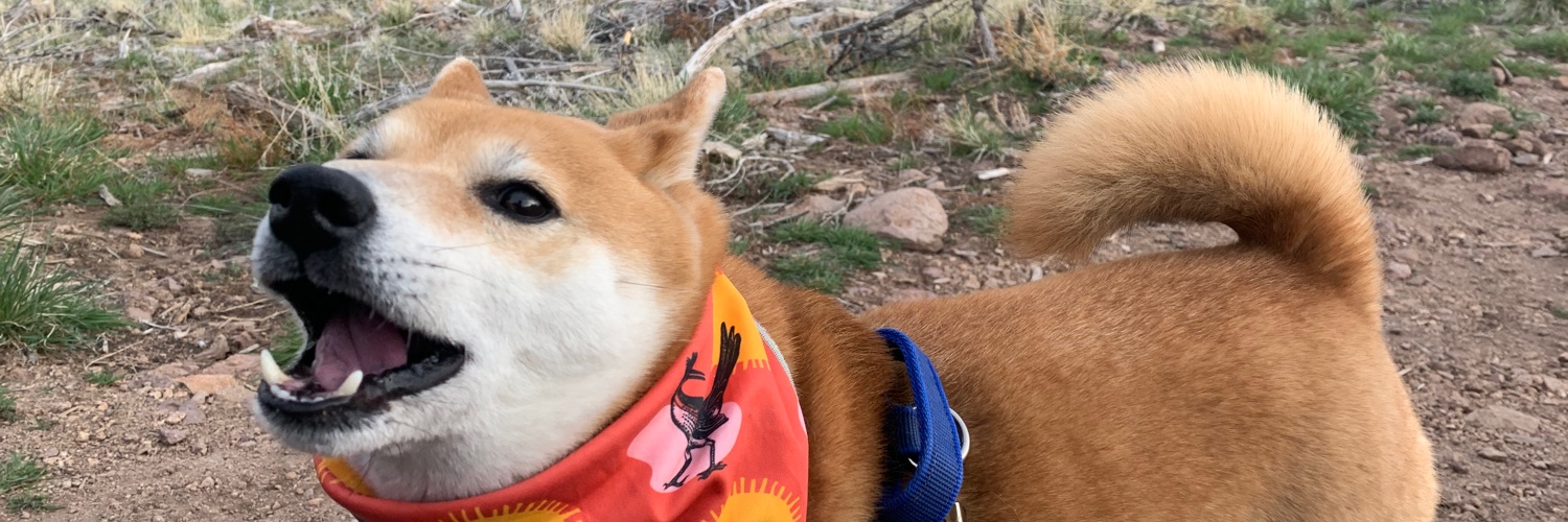 Mark Makino 【公式】 banner