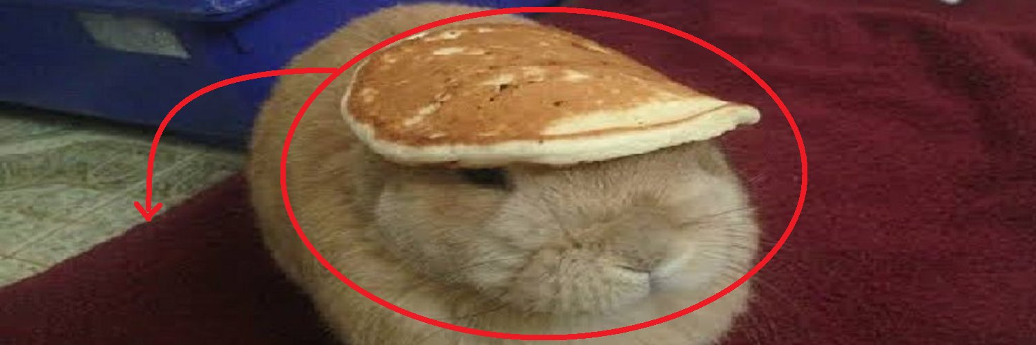 thatcutebunn's profile banner image