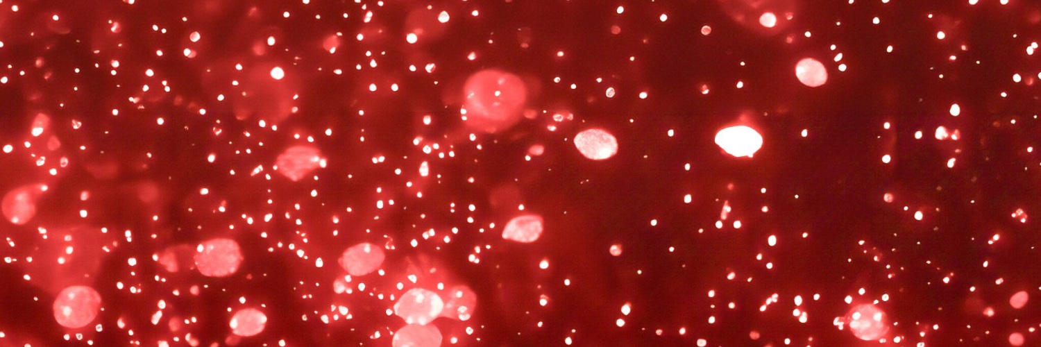 Project Hail Noelle banner