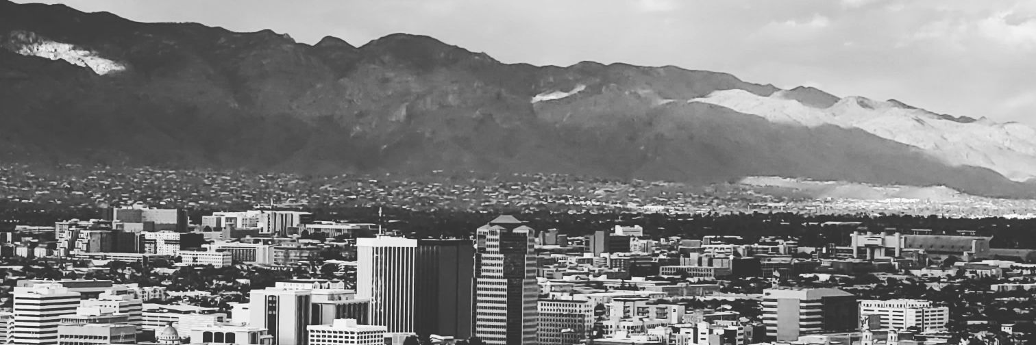 themeebs's profile banner image