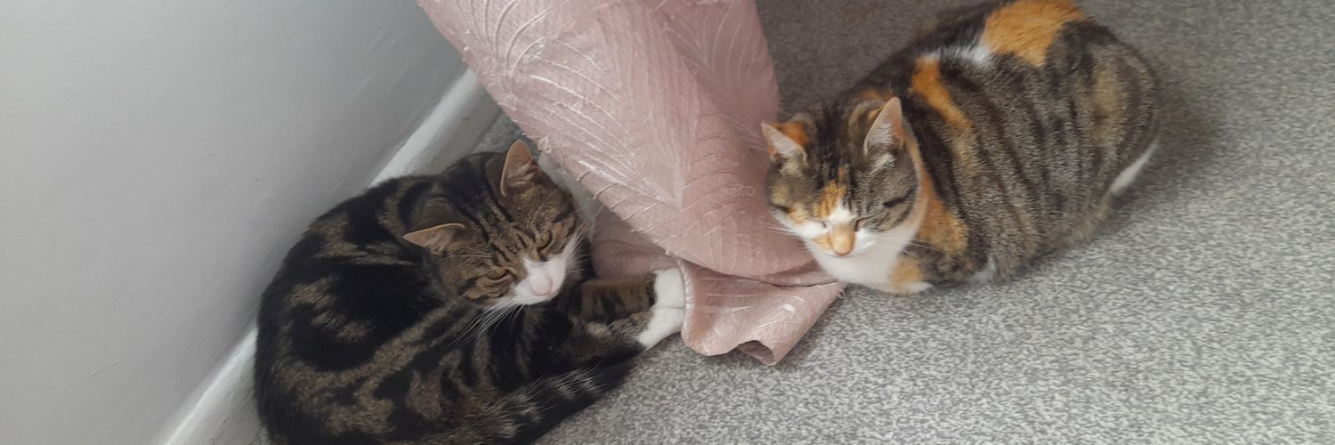 Cloud_Kat8's profile banner image