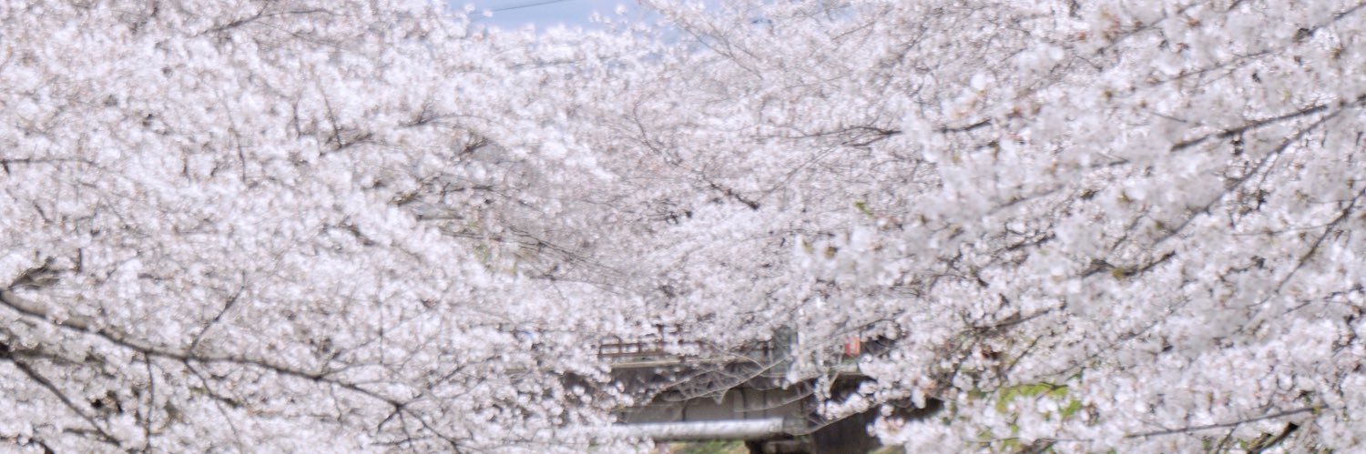 noaclover's profile banner image