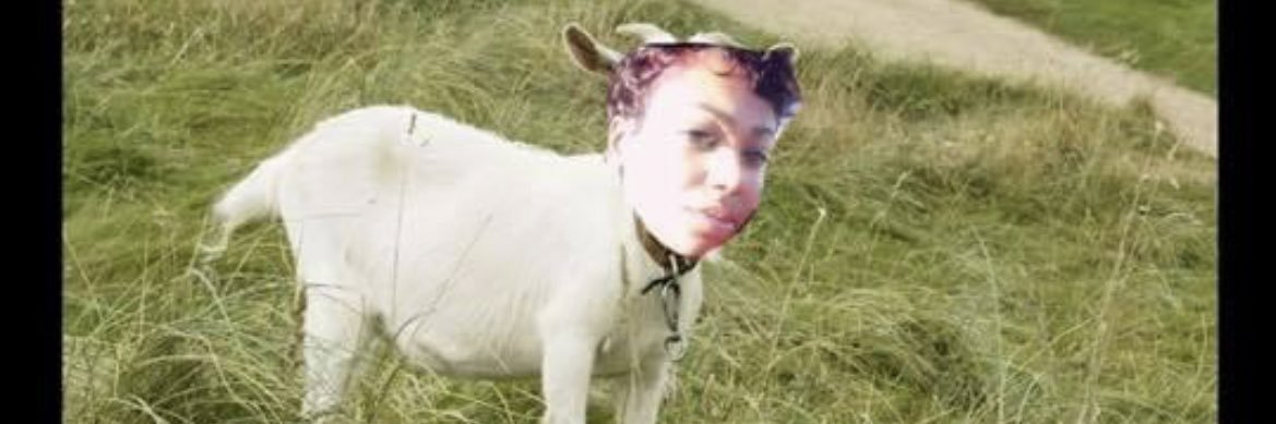 _Zeeandra's profile banner image