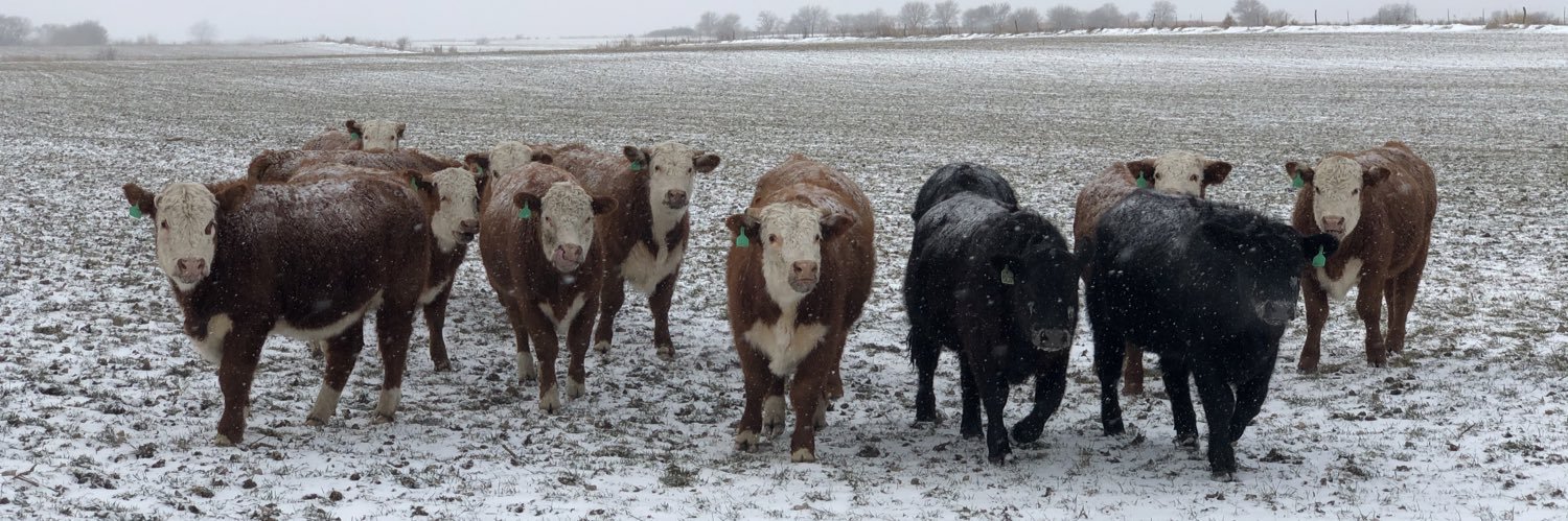 Gaea (Wimmer) Hock banner