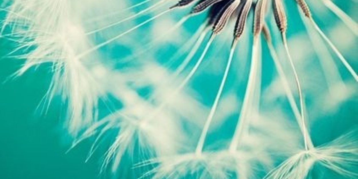 Angie12137's profile banner image