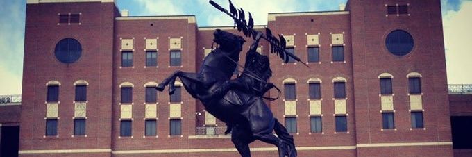 Echo of the Whistle banner