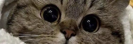 marry 🧊❄️❄️🏞️ banner