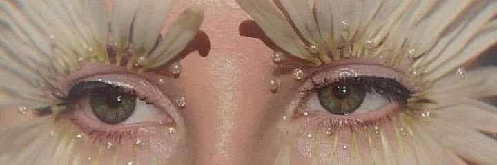 be.🐝 banner