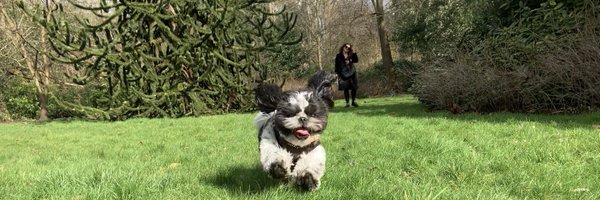 crtrud Profile Banner