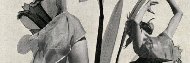 nos chingamos banner