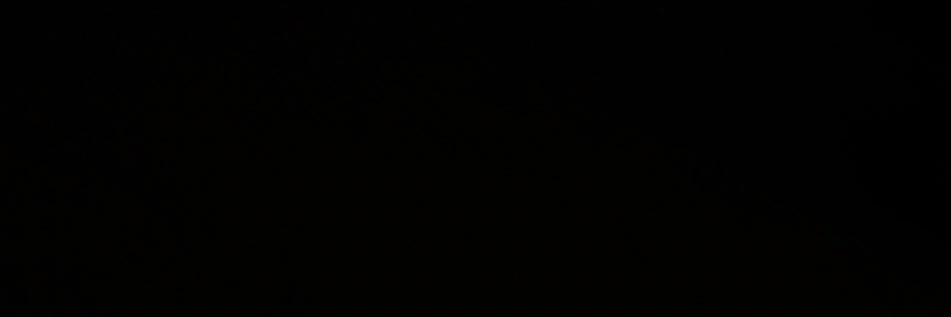 ashesinbliss's profile banner image