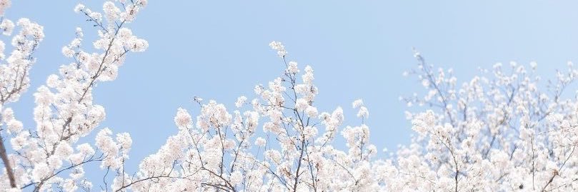 sarivaa11's profile banner image