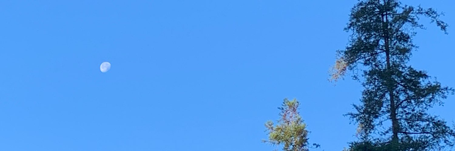 mmbague's profile banner image