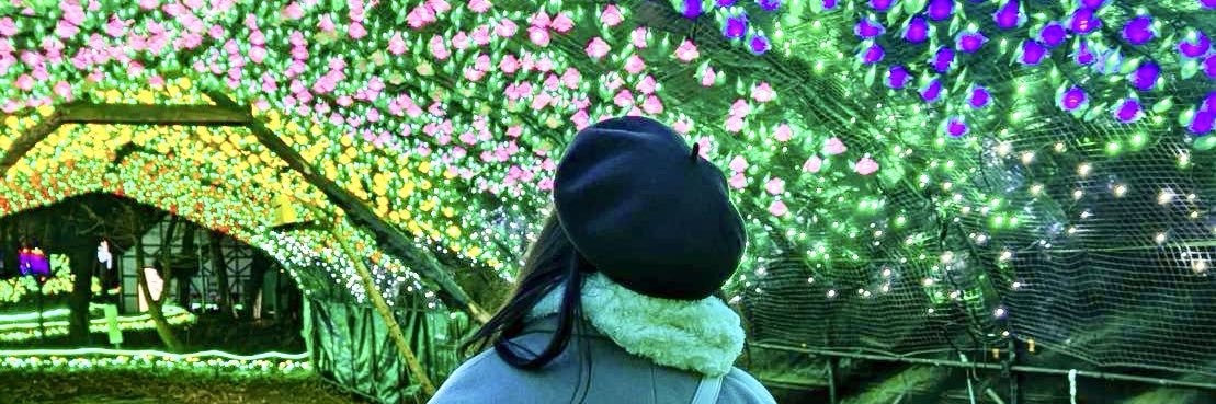 みみちゃだもん banner