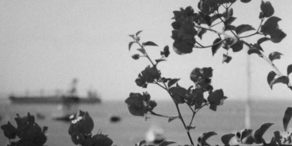 Kaelletee's profile banner image