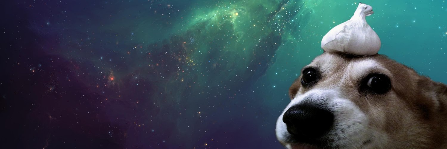 NetDegenerate_'s profile banner image