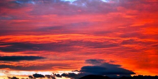 Stacy Burrell banner