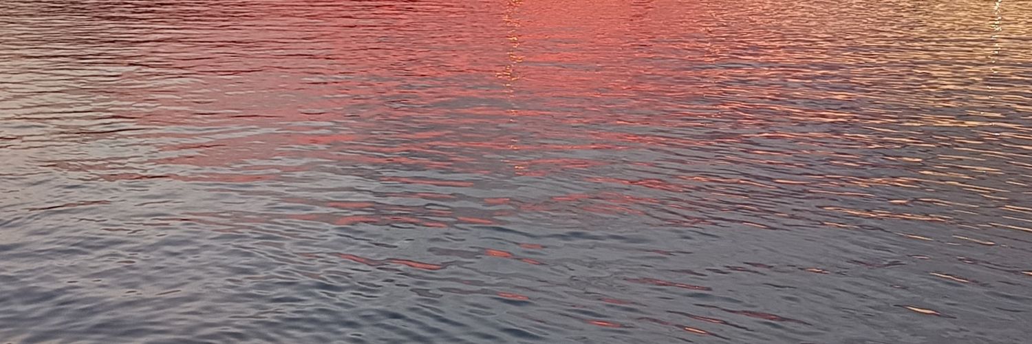 lucía⁷ 🦋 banner