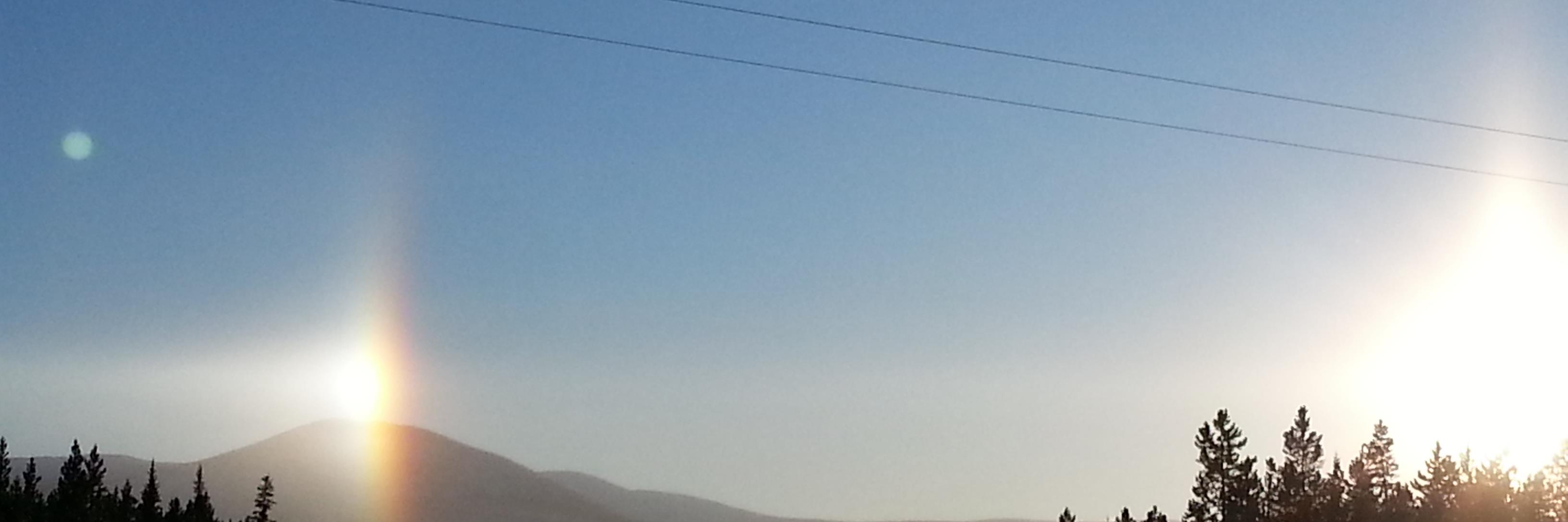 Cheryl L Turner banner