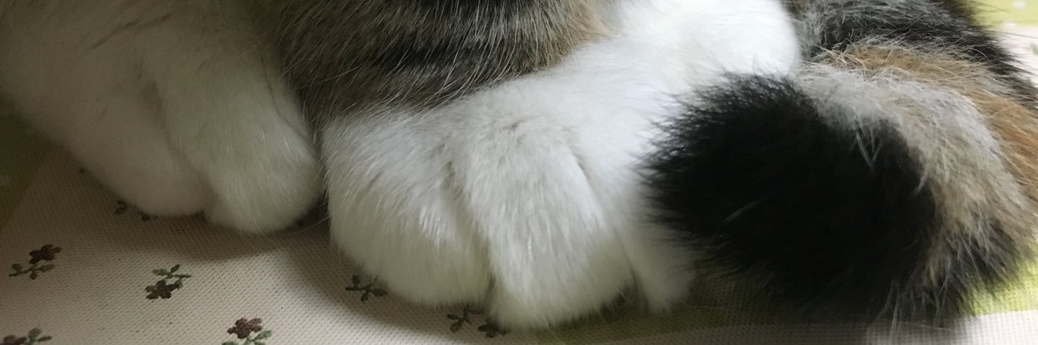 ankopanda's profile banner image