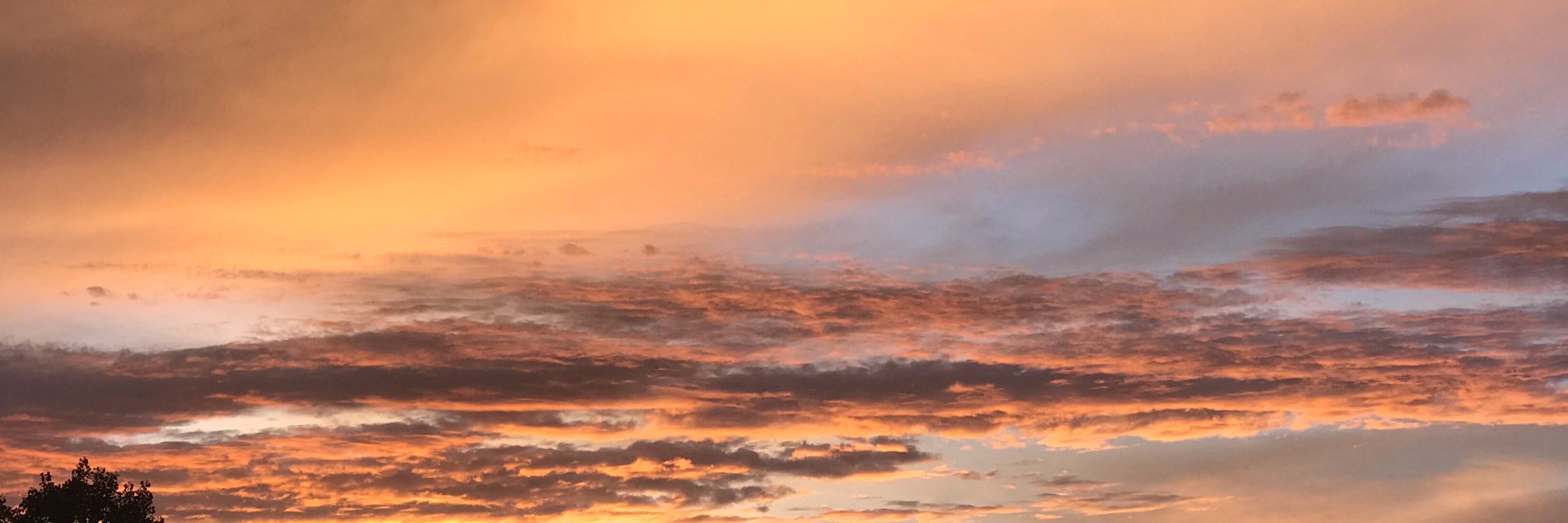 winkerbeann's profile banner image
