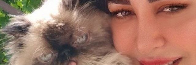 🧷𝗦𝗮𝗯𝗮 banner