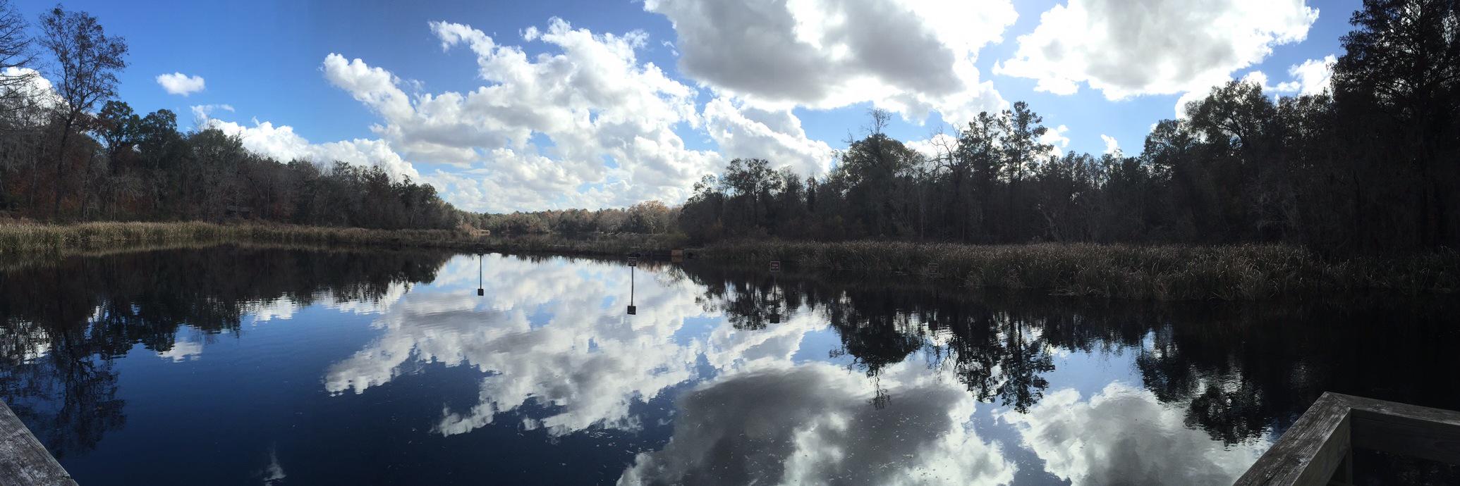 Michael Moline banner