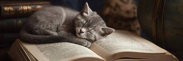 StevenEise33213 Profile Banner