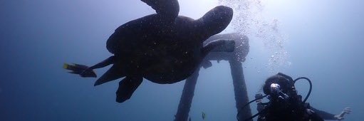 Nora Cabrera Velasco banner