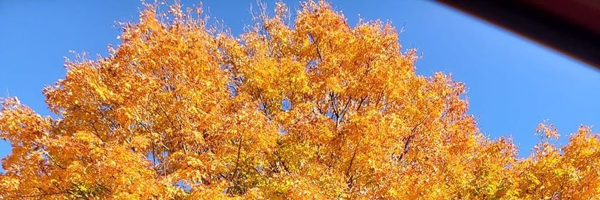 jamartin49's profile banner image