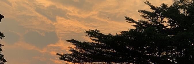 .'s banner
