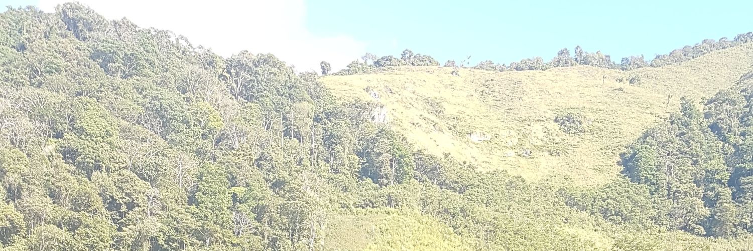 dmcarhuacusma's profile banner image