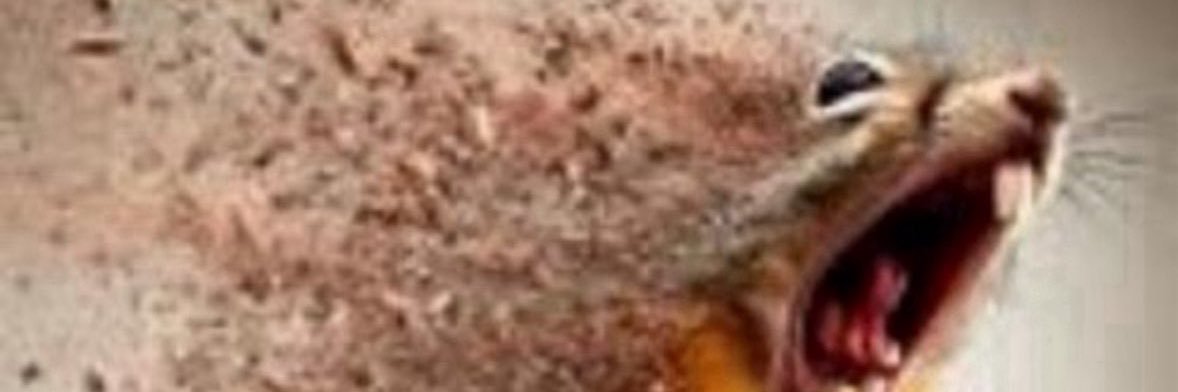 0_baga's profile banner image
