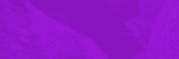 verymingi Profile Banner