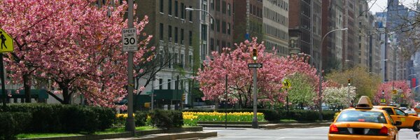 ClothesDr Profile Banner