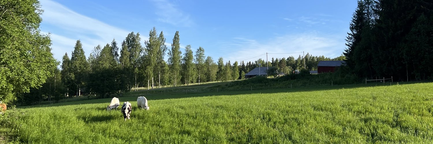 sjbrg's profile banner image