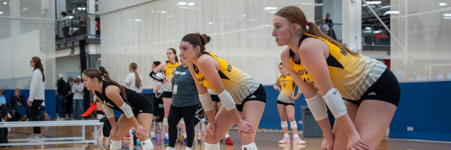 Raegan McDonald banner