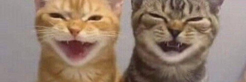 lego fortnite banner