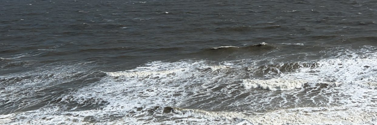 TAphish1243's profile banner image