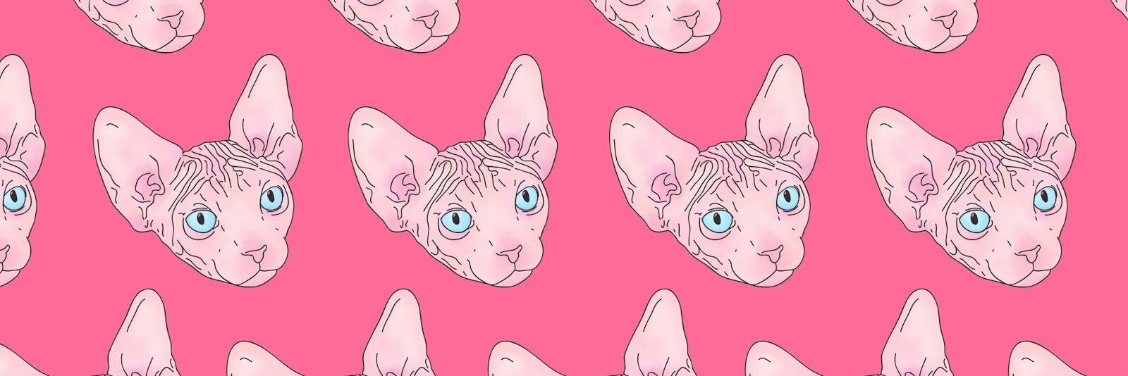 JanyCis's profile banner image